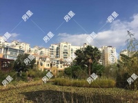 4室2廳2陽臺(tái) 玫瑰灣小區(qū)別墅其他