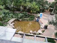 5室2廳2陽臺 同德錦江嘉園其他