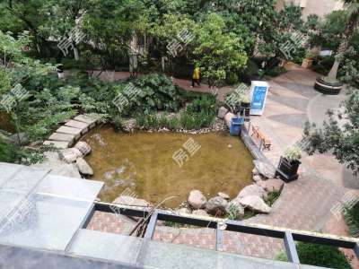 5室2廳2陽臺 同德錦江嘉園其他