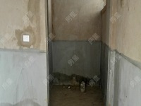 1室 東岸紫園別墅其他