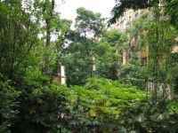 2室1廳1陽(yáng)臺(tái) 凱旋花園其他