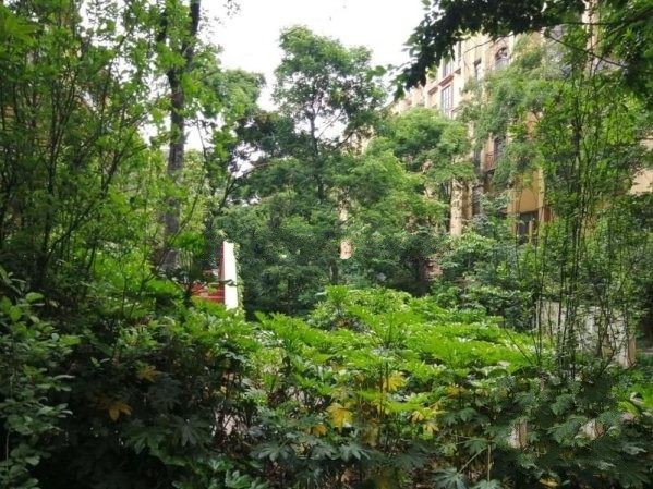 2室1廳1陽(yáng)臺(tái) 凱旋花園其他