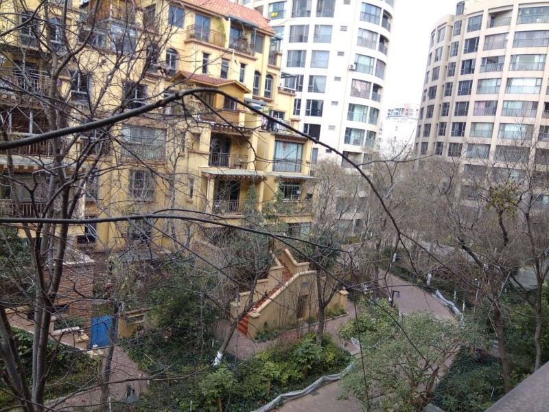 2室1廳1陽(yáng)臺(tái) 凱旋花園其他