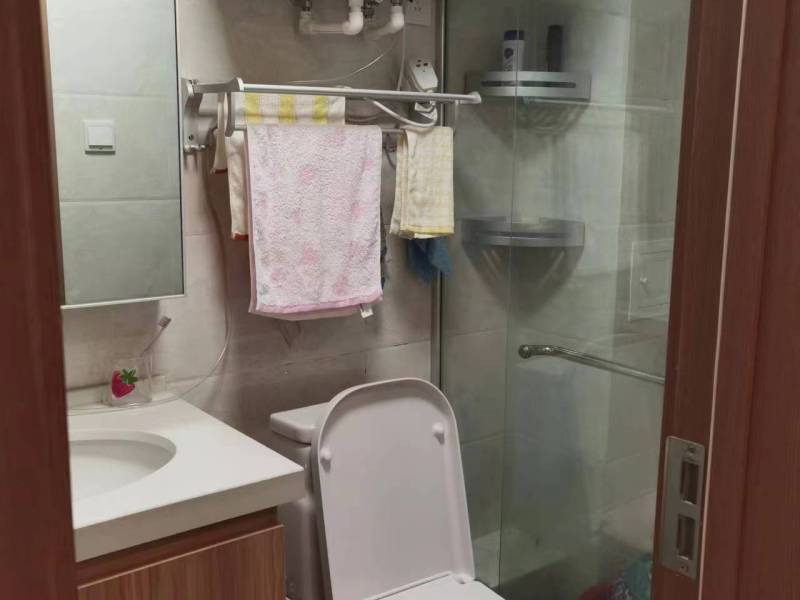 1室1廳1陽臺 北大資源博泰城公寓衛(wèi)生間