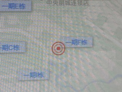 3室2廳1陽臺 中央麗城