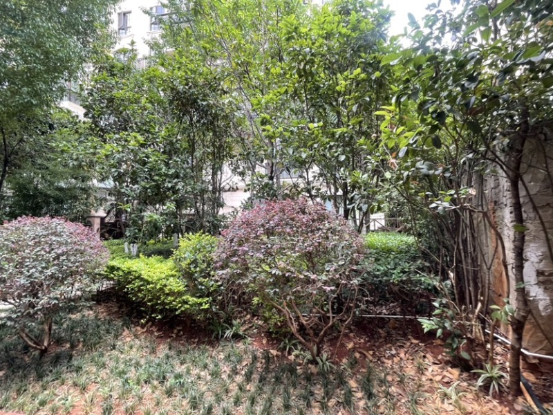 5室3廳2陽臺 公園1903圣維望別墅客廳