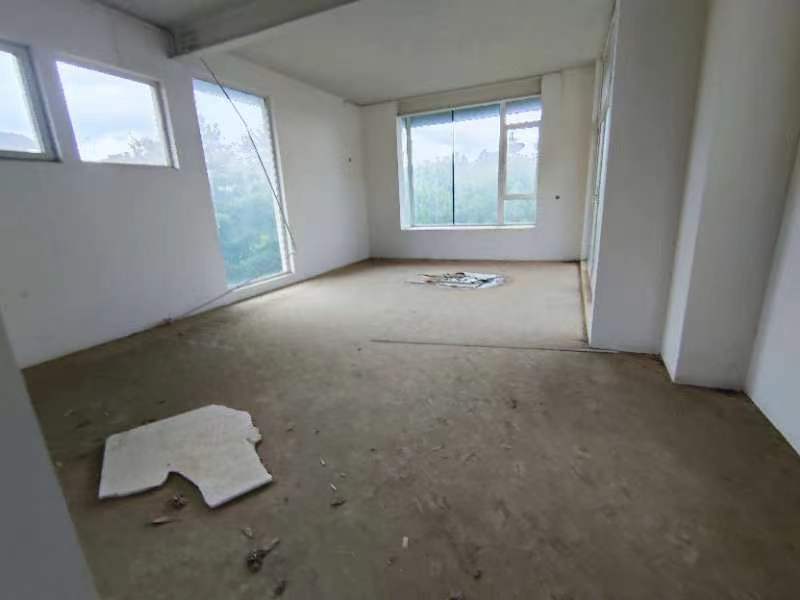 8室4廳4陽(yáng)臺(tái) 世博生態(tài)城依山北鄰里別墅客廳