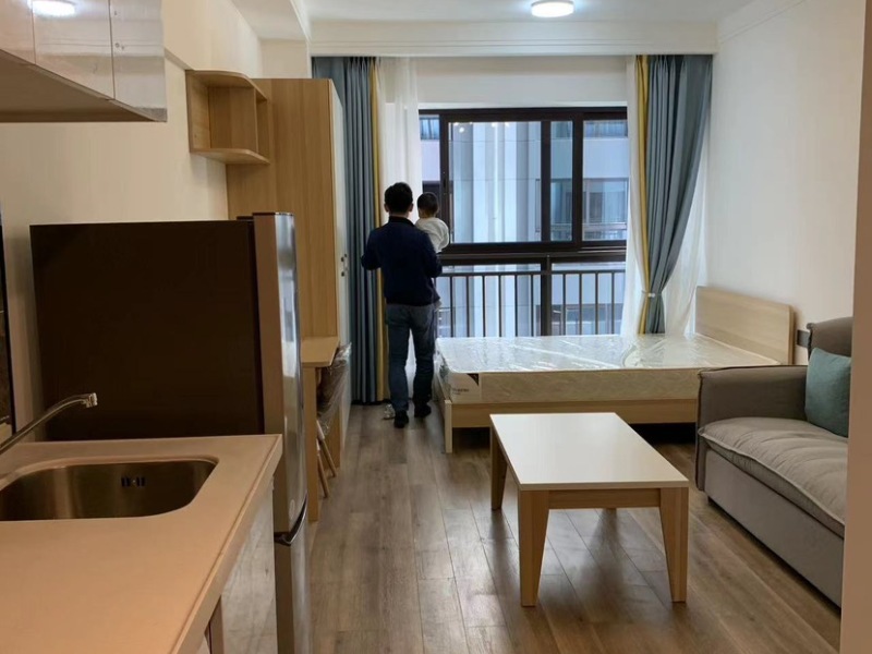 1室1廳1陽臺 魅力之城六期公寓客廳