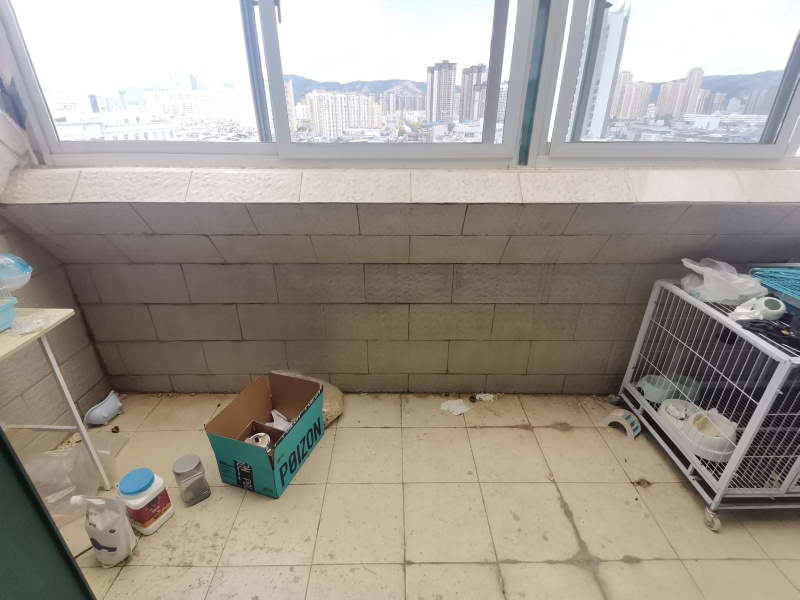 5室2廳5陽(yáng)臺(tái) 春苑花園陽(yáng)臺(tái)