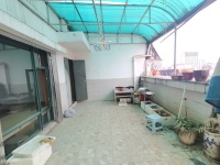 5室2廳5陽(yáng)臺(tái) 春苑花園自家花園