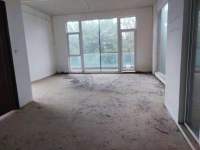 8室4廳4陽(yáng)臺(tái) 世博生態(tài)城依山北鄰里別墅客廳