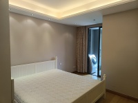 2室2廳2陽臺 紅星國際晶品公寓其他