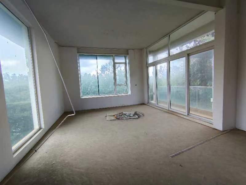 8室4廳4陽(yáng)臺(tái) 世博生態(tài)城依山北鄰里別墅客廳