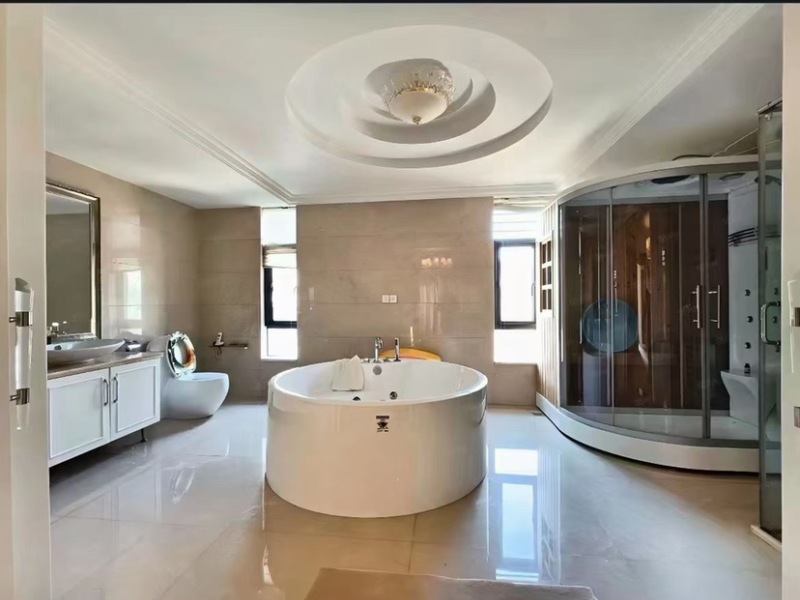 5室2廳4陽臺(tái) 同德極少墅別墅客廳