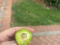 5室3廳2陽臺 公園1903圣維望別墅客廳