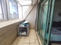 5室2廳5陽(yáng)臺(tái) 春苑花園陽(yáng)臺(tái)