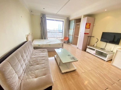 1室1廳1陽(yáng)臺(tái) 中央麗城