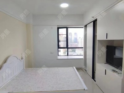 1室1廳1陽(yáng)臺(tái) 大觀首府