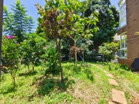 4室2廳4陽(yáng)臺(tái) 滇池衛(wèi)城藍(lán)溪?jiǎng)e墅自家花園