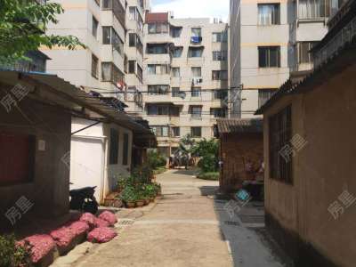 2室2廳1陽臺(tái) 云大東二院家屬區(qū)客廳