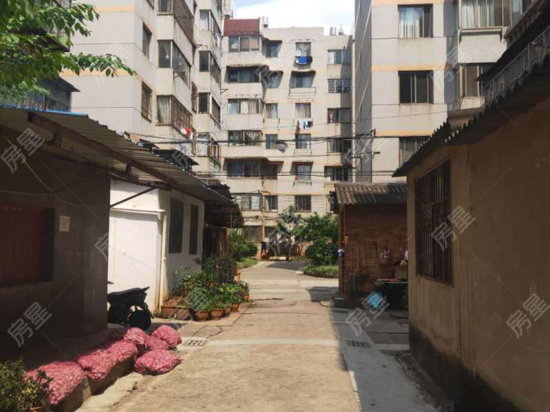 2室2廳1陽臺(tái) 云大東二院家屬區(qū)客廳