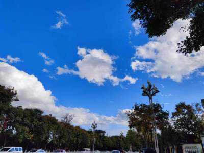 5室3廳3陽臺 公園1903圣維望