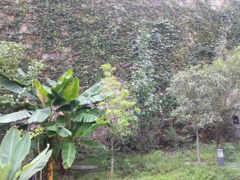 5室3廳2陽臺 西山別墅別墅自家花園