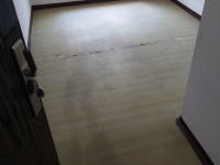 4室2廳3陽臺 ?？禍厝▓@臥室