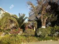 4室2廳3陽臺 福苑小區(qū)其他