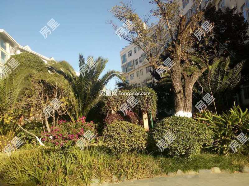 4室2廳3陽臺 福苑小區(qū)其他