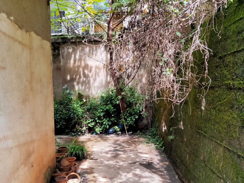 3室2廳1陽臺 華山東路96號自家花園