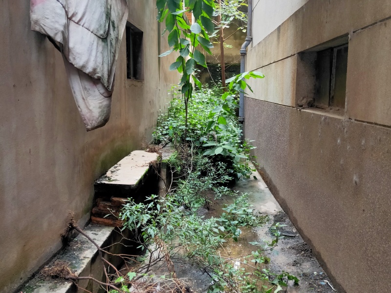 3室2廳1陽臺 華山東路96號自家花園