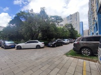 4室2廳4陽臺 金桂苑其他