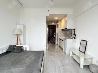 1室1廳1陽臺 新希望觀瀾匯公寓廚房