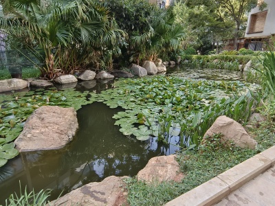 3室2廳1陽臺 滇池衛(wèi)城尚層