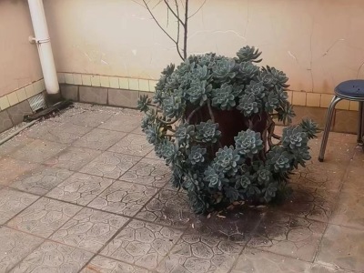 4室2廳3陽(yáng)臺(tái) 北辰小區(qū)櫻花苑