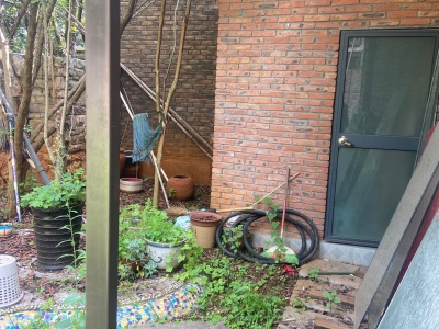 4室2廳2陽臺 茉莉唐朝