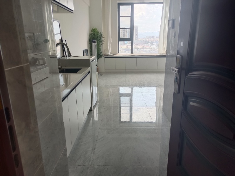 1室1廳1陽臺 新希望觀瀾匯公寓餐廳