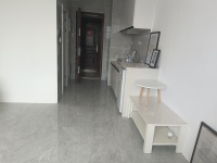 1室1廳1陽臺 新希望觀瀾匯公寓客廳