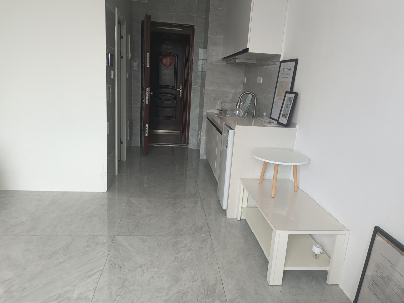 1室1廳1陽臺 新希望觀瀾匯公寓客廳