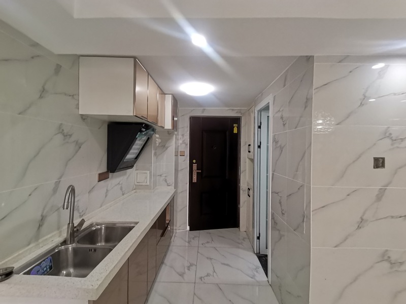 1室1廳1陽臺 藍(lán)光水岸公園公寓廚房