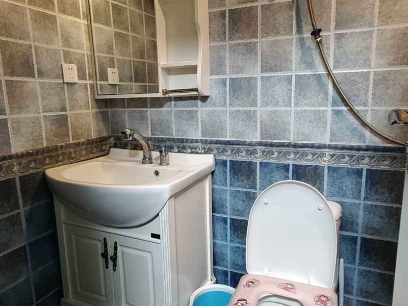 1室1廳1陽臺 廣福小區(qū)一期商業(yè)中心公寓其他