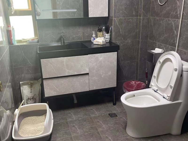 4室2廳3陽臺(tái) 北辰小區(qū)櫻花苑其他