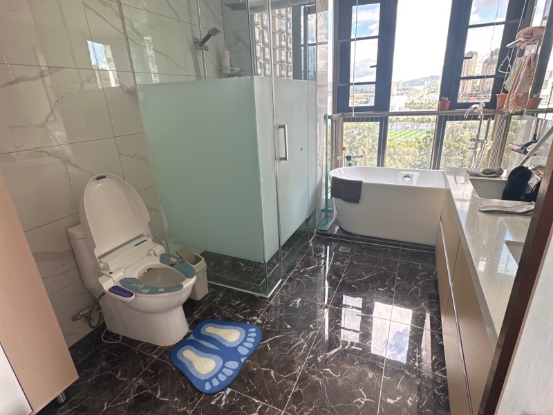 4室2廳1陽臺(tái) 江東境界衛(wèi)生間