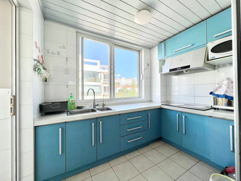 3室2廳1陽臺 人與自然廚房