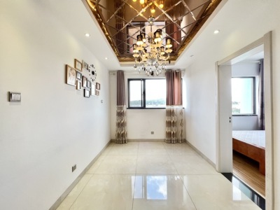 3室2廳2陽臺 南亞未來城