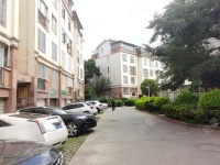 7室3廳2陽臺 夏意雅園別墅其他