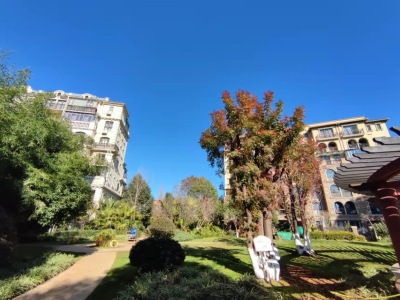 3室2廳2陽臺 公園1903圣維望