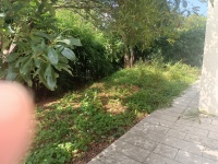 5室2廳4陽臺 世博生態(tài)城依山鄰里別墅臥室