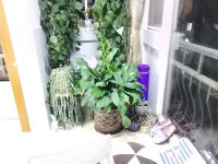 2室2廳1陽臺 時代年華錦華苑陽臺